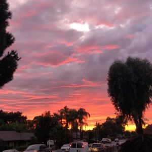 Meet your Posher, Annerenee